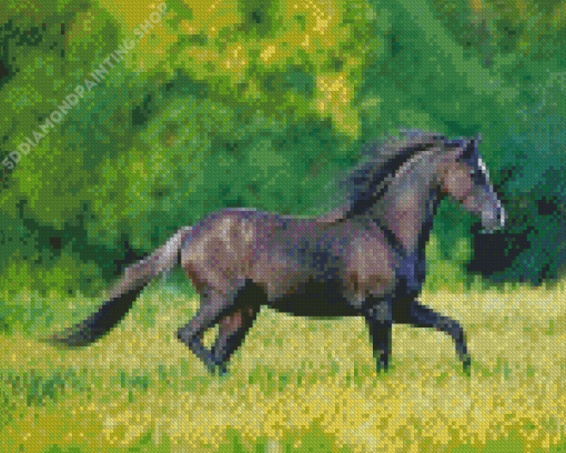 Black Welsh Pony Diamond Painting