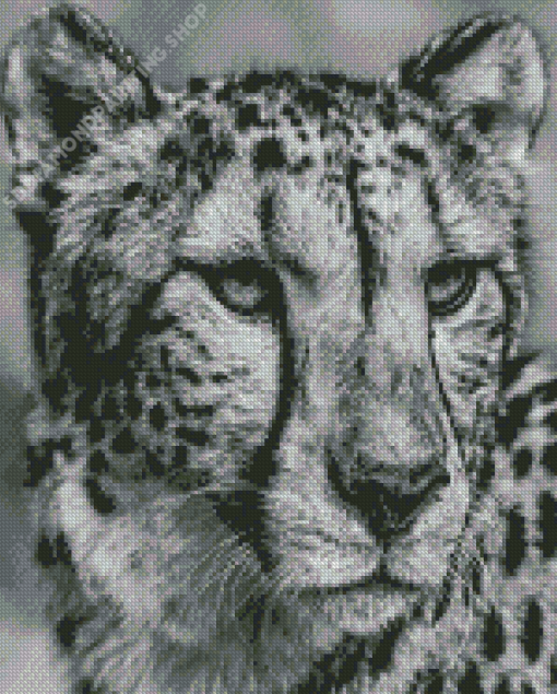 Black And White Cheetah Face Diamond Paintings