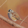 Black And White Head Sparrow Diamond Paintings