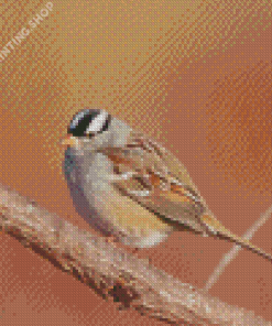 Black And White Head Sparrow Diamond Paintings