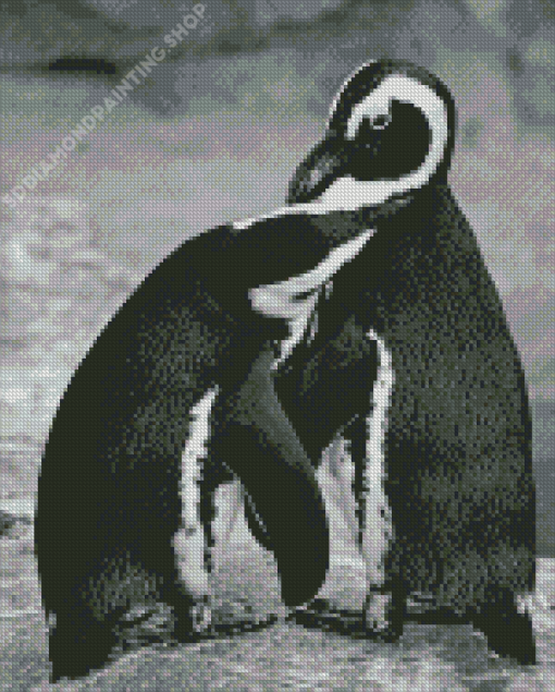 Black And White Penguins Diamond Paintings