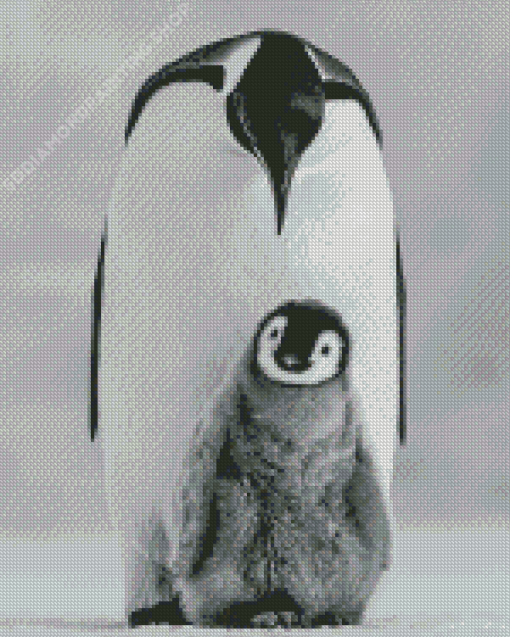 Black And White Penguins Photography Diamond Paintings