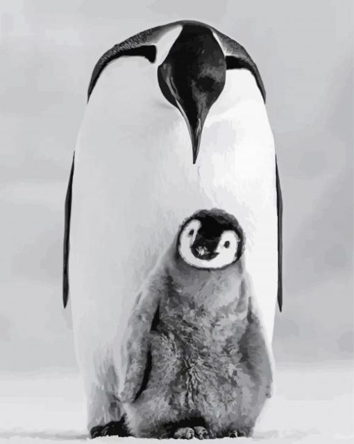 Black And White Penguins Photography Diamond Paintings