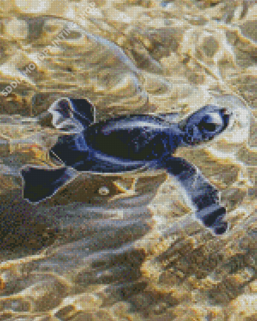 Black Baby Sea Turtle Diamond Paintings