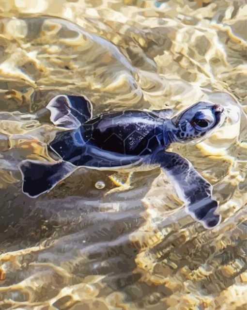 Black Baby Sea Turtle Diamond Paintings