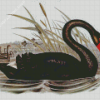 Black Swan Diamond Painting