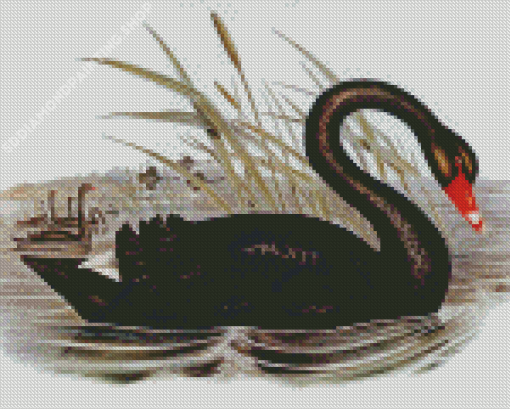 Black Swan Diamond Painting