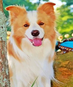 Blonde Border Collie Dog Animal Diamond Painting