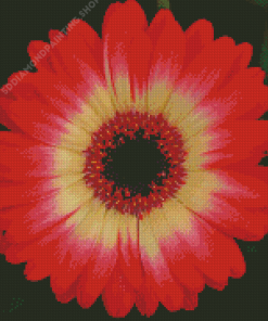 Blooming Red Gerbera Daisy Diamond Paintings