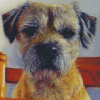 Border Terrier Diamond Painting