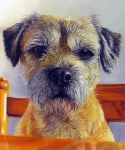 Border Terrier Diamond Painting