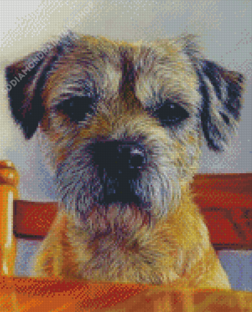 Border Terrier Diamond Painting