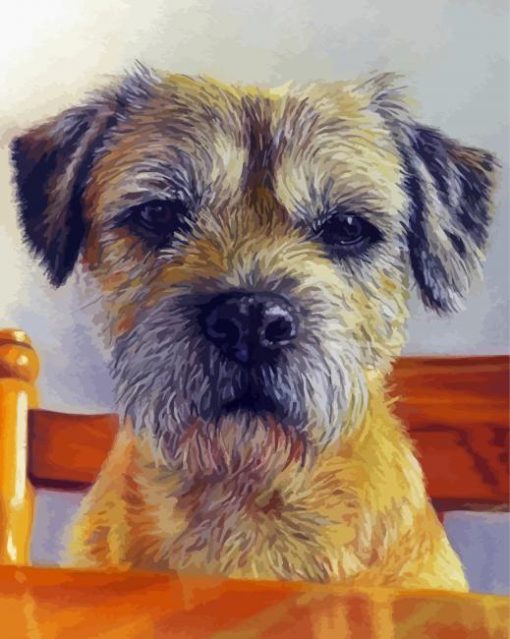 Border Terrier Diamond Painting