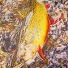 Brook Trout Diamond Painting