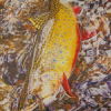 Brook Trout Diamond Painting