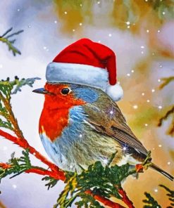 Christmas Robin Bird Diamond Painting