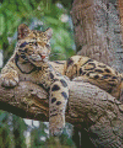 Clouded Leopard On Tree Diamond Painting