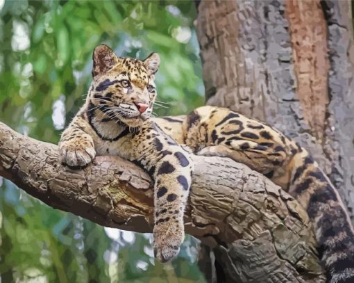 Clouded Leopard On Tree Diamond Painting