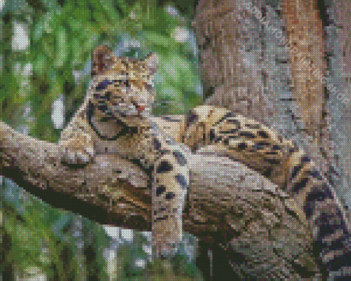 Clouded Leopard On Tree Diamond Painting