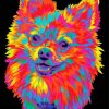 Colorful Pomeranian Head Diamond Painting