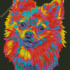 Colorful Pomeranian Head Diamond Painting