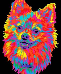 Colorful Pomeranian Head Diamond Painting