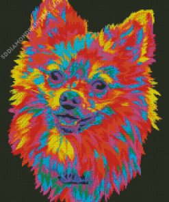 Colorful Pomeranian Head Diamond Painting