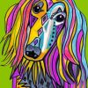 Colorful Afghan Hound Diamond Painting