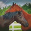 Couple Horses In Love Diamond Paintings