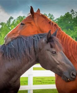 Couple Horses In Love Diamond Paintings