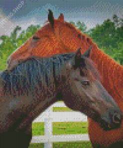 Couple Horses In Love Diamond Paintings