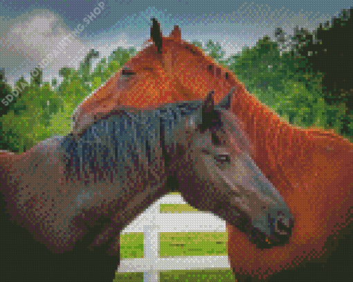 Couple Horses In Love Diamond Paintings