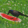 Crows With Watermelon Diamond Painting