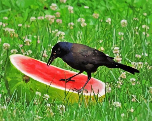 Crows With Watermelon Diamond Painting