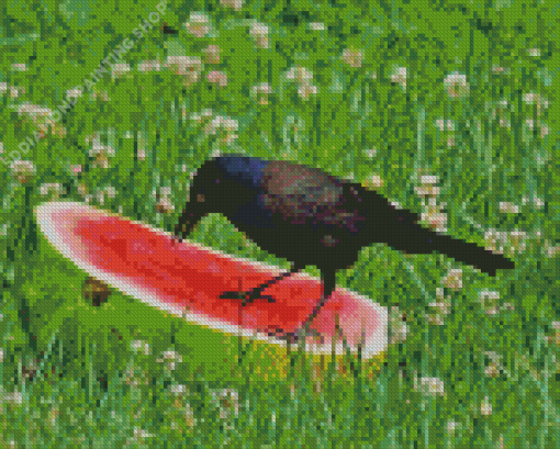 Crows With Watermelon Diamond Painting