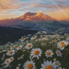 Daisies In Mount St Helens Diamond Painting