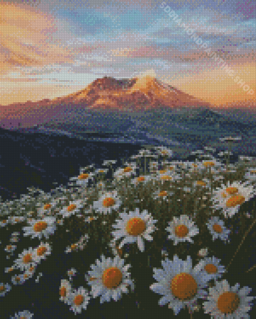 Daisies In Mount St Helens Diamond Painting