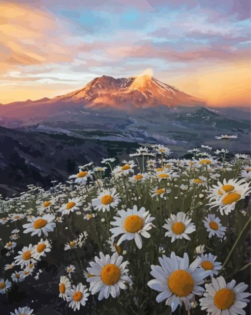 Daisies In Mount St Helens Diamond Painting