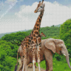 Giraffes With Elephant Diamond Paintings