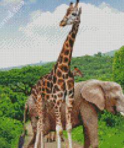 Giraffes With Elephant Diamond Paintings