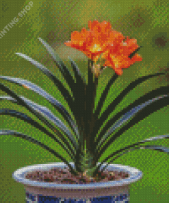 Houseplant Flower Diamond Paintings