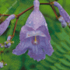 Jacaranda Plants Diamond Painting