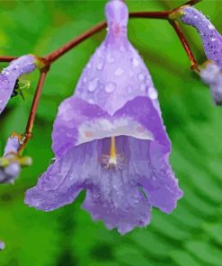 Jacaranda Plants Diamond Painting