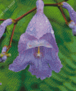 Jacaranda Plants Diamond Painting