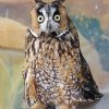 Long Eared Owl Diamond Paintings