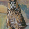 Long Eared Owl Diamond Paintings