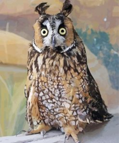 Long Eared Owl Diamond Paintings