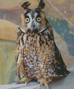 Long Eared Owl Diamond Paintings