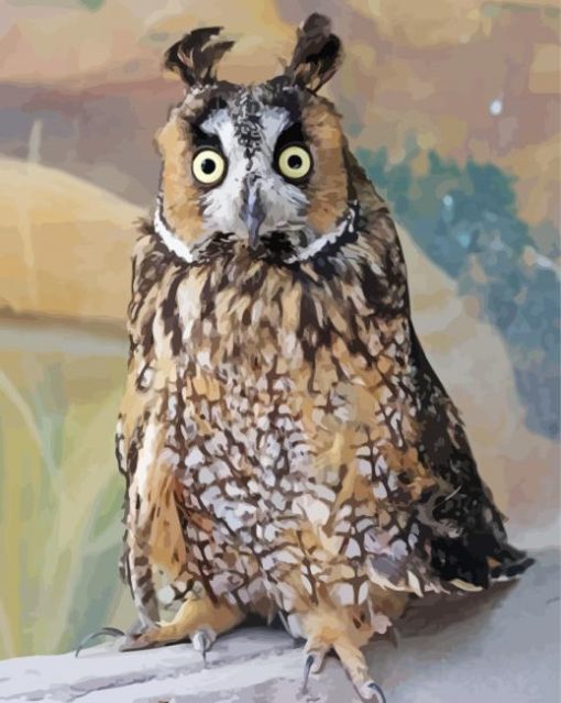 Long Eared Owl Diamond Paintings