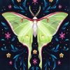 Luna Moth Diamond Paintings